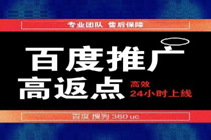 百度SEM推广案例解析：成功秘诀大公开