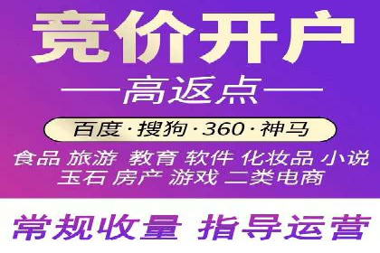 行业领先企业的网络推广与竞价经验